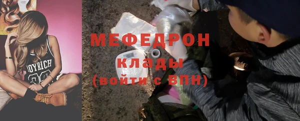 хмурый Верея