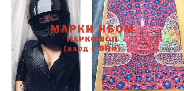 хмурый Верея
