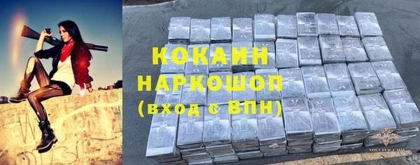 хмурый Верея