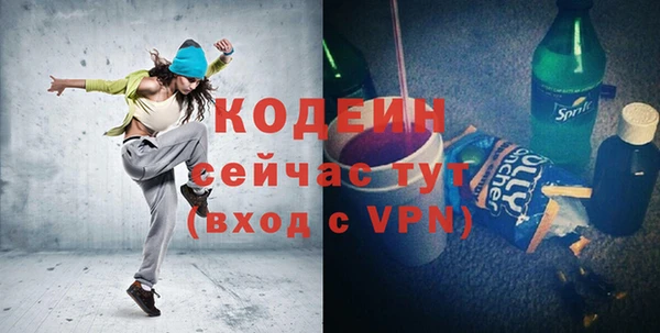 хмурый Верея
