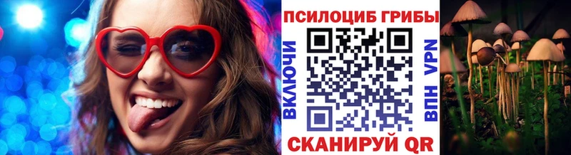 как найти   Ростов-на-Дону  Псилоцибиновые грибы MAGIC MUSHROOMS 